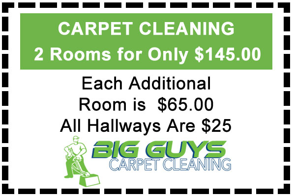 Best professional carpet cleaning in New Jersey