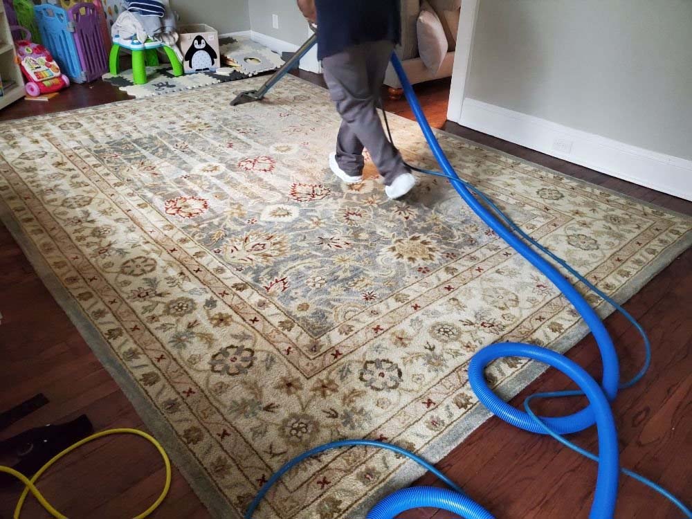 Home carpet cleaner